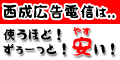 �����L���d�M