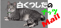 WHITESOCKS